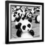 China 10MKm2 Collection - Psychedelic Pandas-Philippe Hugonnard-Framed Photographic Print