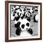 China 10MKm2 Collection - Psychedelic Pandas-Philippe Hugonnard-Framed Photographic Print