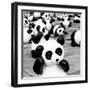 China 10MKm2 Collection - Psychedelic Pandas-Philippe Hugonnard-Framed Photographic Print