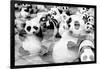 China 10MKm2 Collection - Psychedelic Pandas-Philippe Hugonnard-Framed Photographic Print