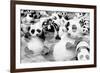 China 10MKm2 Collection - Psychedelic Pandas-Philippe Hugonnard-Framed Photographic Print