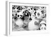 China 10MKm2 Collection - Psychedelic Pandas-Philippe Hugonnard-Framed Photographic Print