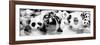 China 10MKm2 Collection - Psychedelic Pandas-Philippe Hugonnard-Framed Photographic Print