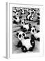 China 10MKm2 Collection - Psychedelic Pandas-Philippe Hugonnard-Framed Photographic Print