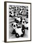 China 10MKm2 Collection - Psychedelic Pandas-Philippe Hugonnard-Framed Photographic Print