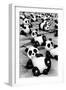 China 10MKm2 Collection - Psychedelic Pandas-Philippe Hugonnard-Framed Photographic Print