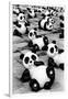 China 10MKm2 Collection - Psychedelic Pandas-Philippe Hugonnard-Framed Photographic Print