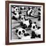 China 10MKm2 Collection - Psychedelic Pandas-Philippe Hugonnard-Framed Photographic Print