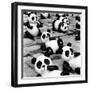 China 10MKm2 Collection - Psychedelic Pandas-Philippe Hugonnard-Framed Photographic Print