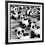 China 10MKm2 Collection - Psychedelic Pandas-Philippe Hugonnard-Framed Photographic Print