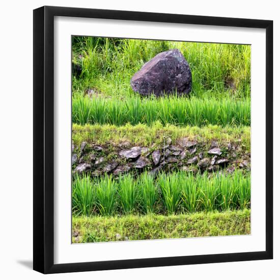 China 10MKm2 Collection - Red Flower - Longsheng-Philippe Hugonnard-Framed Photographic Print