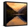 China 10MKm2 Collection - Rhinoceros Lake - Jiuzhaigou National Park-Philippe Hugonnard-Framed Stretched Canvas