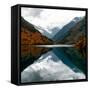 China 10MKm2 Collection - Rhinoceros Lake - Jiuzhaigou National Park-Philippe Hugonnard-Framed Stretched Canvas