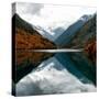 China 10MKm2 Collection - Rhinoceros Lake - Jiuzhaigou National Park-Philippe Hugonnard-Stretched Canvas