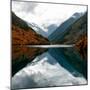 China 10MKm2 Collection - Rhinoceros Lake - Jiuzhaigou National Park-Philippe Hugonnard-Mounted Photographic Print