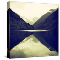 China 10MKm2 Collection - Rhinoceros Lake - Jiuzhaigou National Park-Philippe Hugonnard-Stretched Canvas