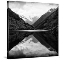 China 10MKm2 Collection - Rhinoceros Lake - Jiuzhaigou National Park-Philippe Hugonnard-Stretched Canvas