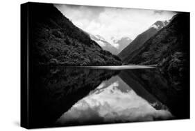 China 10MKm2 Collection - Rhinoceros Lake - Jiuzhaigou National Park-Philippe Hugonnard-Stretched Canvas