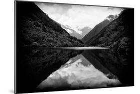 China 10MKm2 Collection - Rhinoceros Lake - Jiuzhaigou National Park-Philippe Hugonnard-Mounted Photographic Print