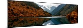 China 10MKm2 Collection - Rhinoceros Lake - Jiuzhaigou National Park-Philippe Hugonnard-Mounted Photographic Print