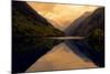 China 10MKm2 Collection - Rhinoceros Lake - Jiuzhaigou National Park-Philippe Hugonnard-Mounted Photographic Print