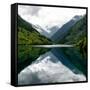 China 10MKm2 Collection - Rhinoceros Lake - Jiuzhaigou National Park-Philippe Hugonnard-Framed Stretched Canvas