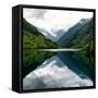 China 10MKm2 Collection - Rhinoceros Lake - Jiuzhaigou National Park-Philippe Hugonnard-Framed Stretched Canvas