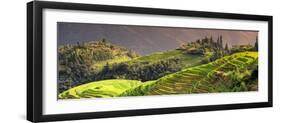 China 10MKm2 Collection - Rice Terraces - Longsheng Ping'an - Guangxi-Philippe Hugonnard-Framed Photographic Print