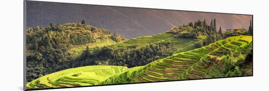 China 10MKm2 Collection - Rice Terraces - Longsheng Ping'an - Guangxi-Philippe Hugonnard-Mounted Photographic Print