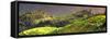 China 10MKm2 Collection - Rice Terraces - Longsheng Ping'an - Guangxi-Philippe Hugonnard-Framed Stretched Canvas