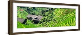 China 10MKm2 Collection - Rice Terraces - Longsheng Ping'an - Guangxi-Philippe Hugonnard-Framed Photographic Print