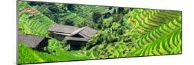 China 10MKm2 Collection - Rice Terraces - Longsheng Ping'an - Guangxi-Philippe Hugonnard-Mounted Photographic Print