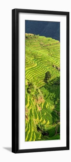 China 10MKm2 Collection - Rice Terraces - Longsheng Ping'an - Guangxi-Philippe Hugonnard-Framed Photographic Print