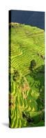 China 10MKm2 Collection - Rice Terraces - Longsheng Ping'an - Guangxi-Philippe Hugonnard-Stretched Canvas