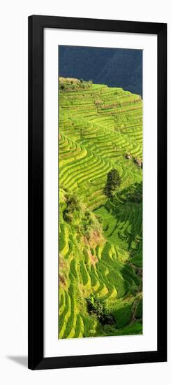 China 10MKm2 Collection - Rice Terraces - Longsheng Ping'an - Guangxi-Philippe Hugonnard-Framed Photographic Print