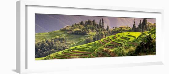 China 10MKm2 Collection - Rice Terraces - Longsheng Ping'an - Guangxi-Philippe Hugonnard-Framed Photographic Print