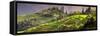 China 10MKm2 Collection - Rice Terraces - Longsheng Ping'an - Guangxi-Philippe Hugonnard-Framed Stretched Canvas