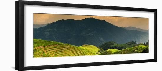 China 10MKm2 Collection - Rice Terraces - Longsheng Ping'an - Guangxi-Philippe Hugonnard-Framed Photographic Print