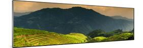 China 10MKm2 Collection - Rice Terraces - Longsheng Ping'an - Guangxi-Philippe Hugonnard-Mounted Photographic Print