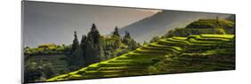 China 10MKm2 Collection - Rice Terraces - Longsheng Ping'an - Guangxi-Philippe Hugonnard-Mounted Photographic Print