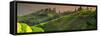 China 10MKm2 Collection - Rice Terraces - Longsheng Ping'an - Guangxi-Philippe Hugonnard-Framed Stretched Canvas