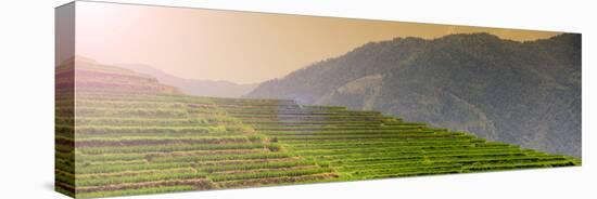 China 10MKm2 Collection - Rice Terraces - Longsheng Ping'an - Guangxi-Philippe Hugonnard-Stretched Canvas