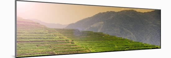 China 10MKm2 Collection - Rice Terraces - Longsheng Ping'an - Guangxi-Philippe Hugonnard-Mounted Photographic Print