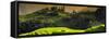 China 10MKm2 Collection - Rice Terraces - Longsheng Ping'an - Guangxi-Philippe Hugonnard-Framed Stretched Canvas