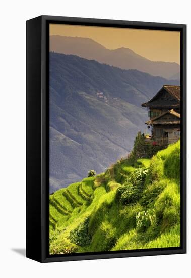 China 10MKm2 Collection - Rice Terraces - Longsheng Ping'an - Guangxi-Philippe Hugonnard-Framed Stretched Canvas