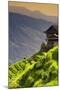 China 10MKm2 Collection - Rice Terraces - Longsheng Ping'an - Guangxi-Philippe Hugonnard-Mounted Photographic Print