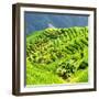 China 10MKm2 Collection - Rice Terraces - Longsheng Ping'an - Guangxi-Philippe Hugonnard-Framed Photographic Print