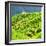 China 10MKm2 Collection - Rice Terraces - Longsheng Ping'an - Guangxi-Philippe Hugonnard-Framed Photographic Print