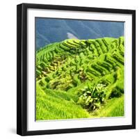 China 10MKm2 Collection - Rice Terraces - Longsheng Ping'an - Guangxi-Philippe Hugonnard-Framed Photographic Print