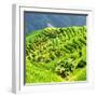 China 10MKm2 Collection - Rice Terraces - Longsheng Ping'an - Guangxi-Philippe Hugonnard-Framed Photographic Print